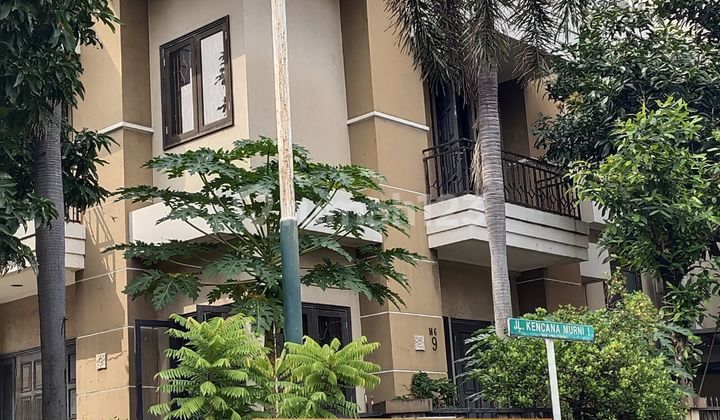 Rumah Hook Di Puri Kencana 