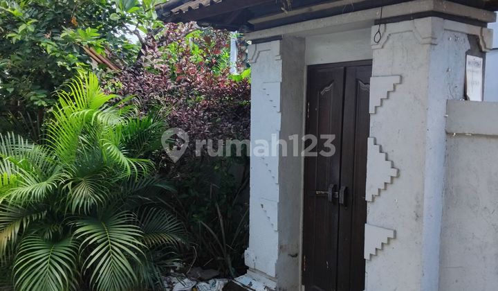 House for Rent Large Yard 3 Bedrooms West Denpasar House for Rent Large Yard 3 Bedrooms West Denpasar