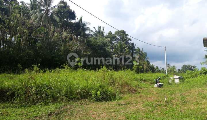 Tanah di Jl Wisnu Marga Tabanan, Tabanan SHM 1