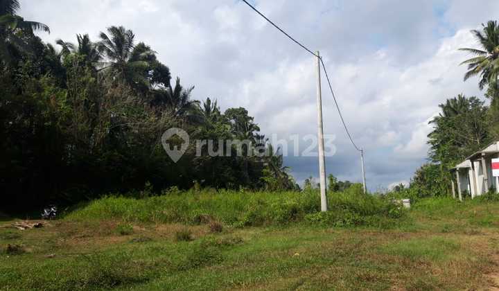 Tanah di Jl Wisnu Marga Tabanan, Tabanan SHM 2