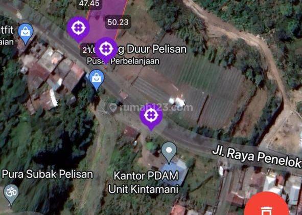 Tanah di Penelokan kintamani 1000 m² SHM 2