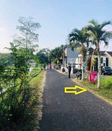 Land for sale in Senapahan Kediri Tabanan 160 m² SHM 1