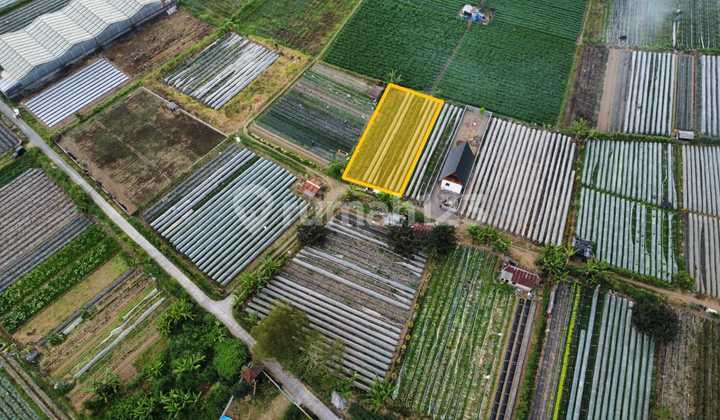 Tanah View Danau Buyan Cocok Untuk Villa 1