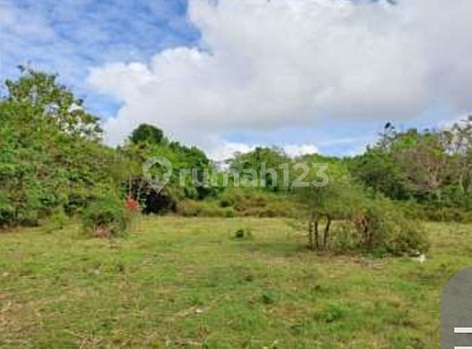 Tanah Bingin di Kuta Selatan SHM 5950.0 m² 1