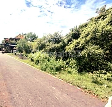 Tanah Bingin di Kuta Selatan SHM 5950.0 m² 2