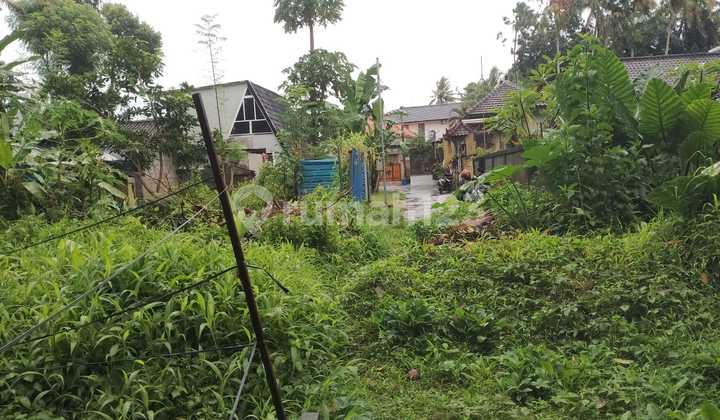 Tanah di Ubud 300 M² SHM Cocok Bangun Villa Komersil