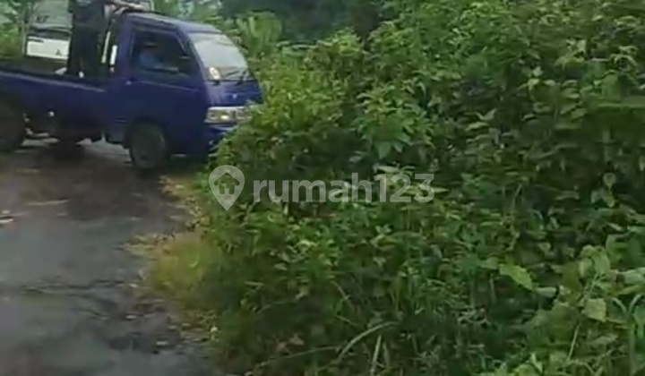 24 Hectares of Land in Jonggol, West Java Already Certified 24 Hectares of Land in Jonggol, West Java Already Certified
