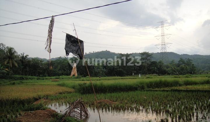 Land for Sale in Rumpin, Bogor, New, Very Large, Suitable for Large-Scale Housing Land for Sale in Rumpin, Bogor, New, Very Large, Suitable for Large-Scale Housing