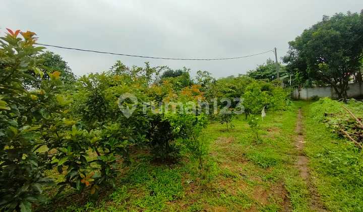 Tanah Cibinong Dekat Sentul City Siap Ajb Notaris  2