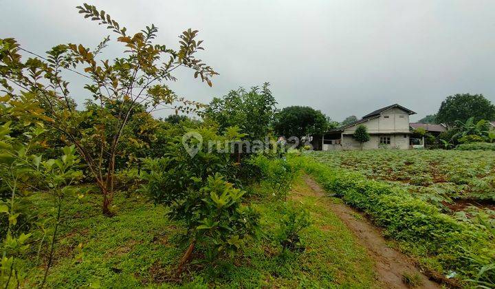 Tanah Cibinong Dekat Sentul City Siap Ajb Notaris  3