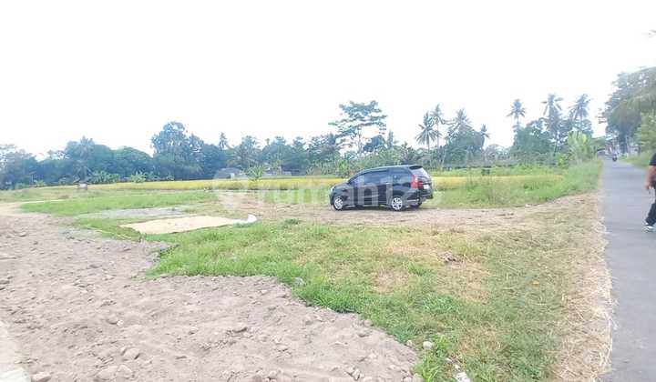 Area UII near Klotok coffee, Kaliurang, 3 million, SHM P ready.