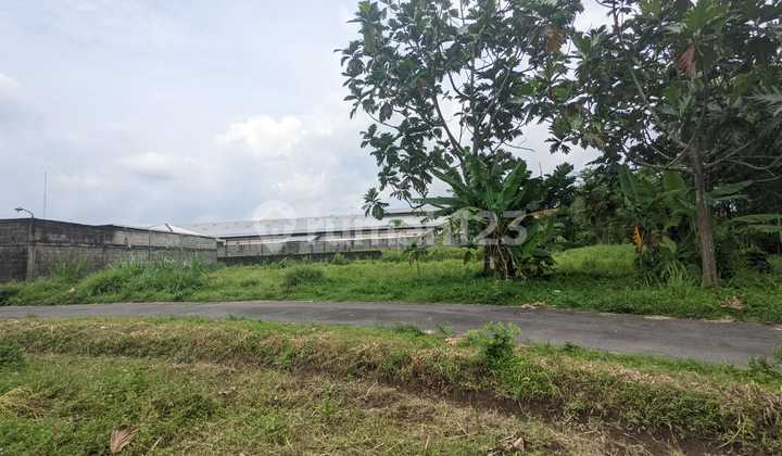 Tanah Palagan dijual murah tepi aspal dekat Pasar Rejodani 2