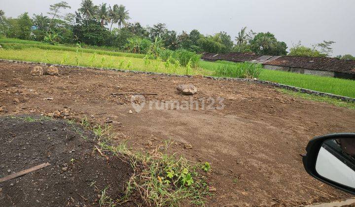 Tanah Bagus Dekat Pasar Rejodani Palagan Sleman View Sawah Dan Merapi 2