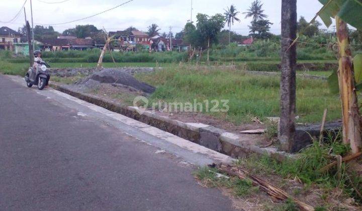Tanah Bagus Dekat Pasar Rejodani Palagan Sleman View Sawah Dan Merapi 4
