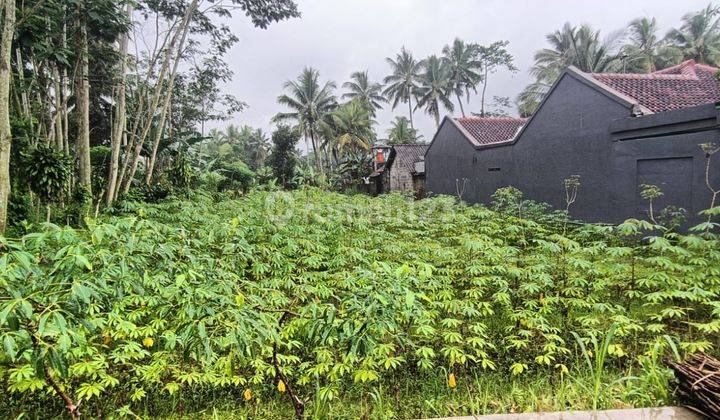 Tanah Bagus Tepi Aspal Jl Turgo, Turi Purwobinangun Pakem Sleman 7