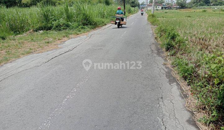 Info Tanah Dijual Area Kampus Umy, Cocok Bangun Kost 1