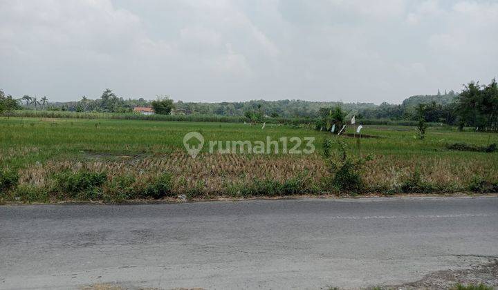 Info Tanah Dijual Area Kampus Umy, Cocok Bangun Kost 4