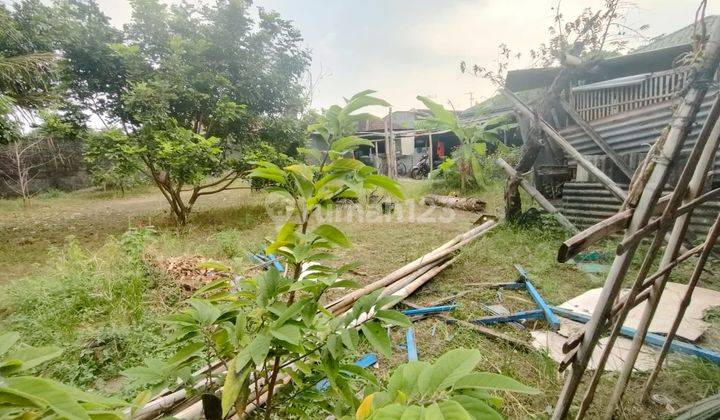 Tanah Kota Jogja Pekarangan Jl Bener Utara Sma N 2 Jogja  8
