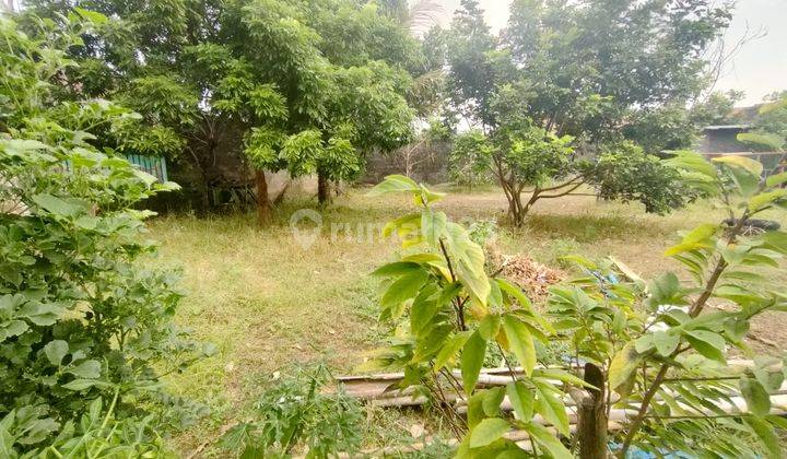 Tanah Kota Jogja Pekarangan Jl Bener Utara Sma N 2 Jogja  9