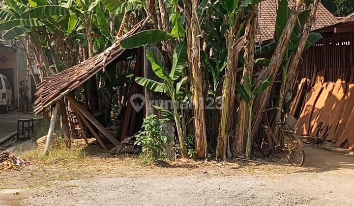 Tanah Tepi Aspal Pas Untuk Usaha Dekat Kantor Kecamatan Minggir  1