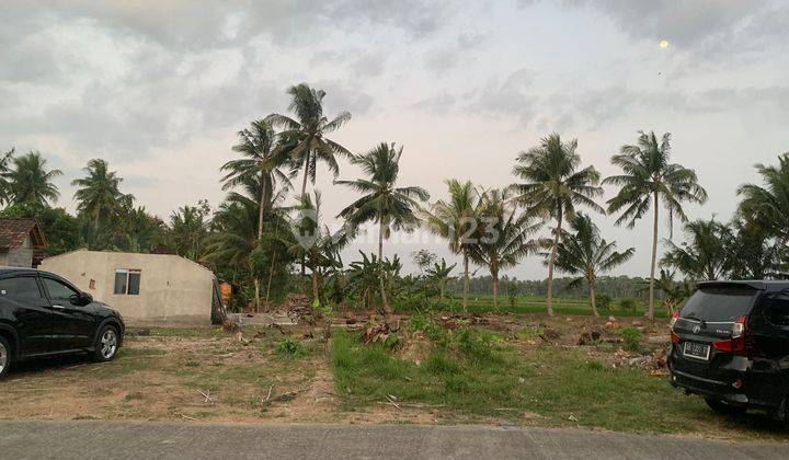 Siap Transaksi Tanah Murah di Tawangsari Dekat Uad Wates, SHM P 2