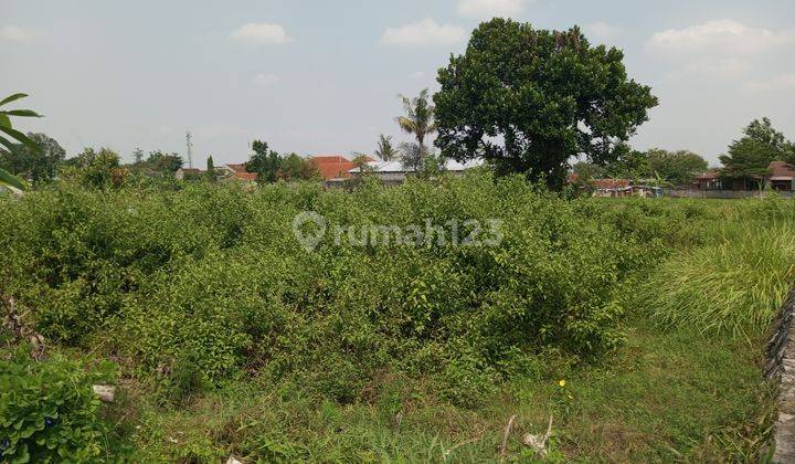 Siap Bangun Dekat Ugm di Jl Damai Kaliurang , SHM Tepi Aspal 2