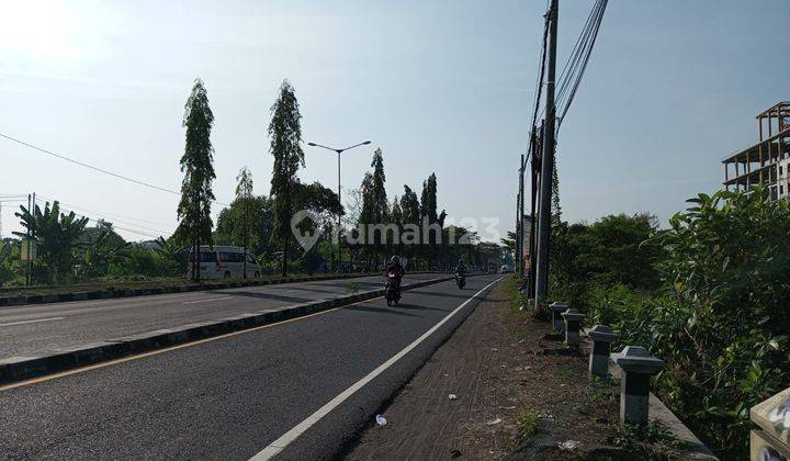 Tanah Jogja Dijual Cepat Kavling Dekat Ring Road Jombor, SHM P  2