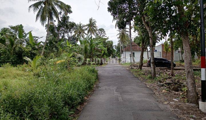 Tanah Jogja dijual cepat lokasi dekat UII Kaliurang vies sawah  1