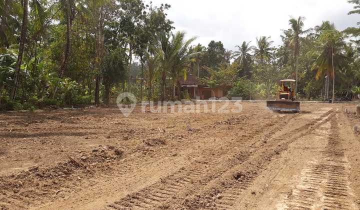 House in Moyudan Godean for sale, 300 million, ideal for investment.