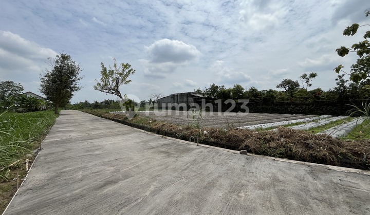 Cheap land in Sleman near UII Kaliurang, 2 million ready to build.