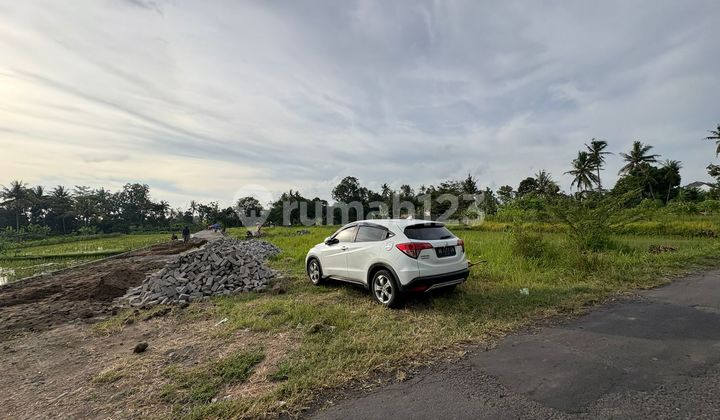 Tanah Dekat Uii Kaliurang 3 Jtam Siap Bangun Rumah Kost Tanah Dekat Uii Kaliurang 3 Jtam Siap Bangun Rumah Kost