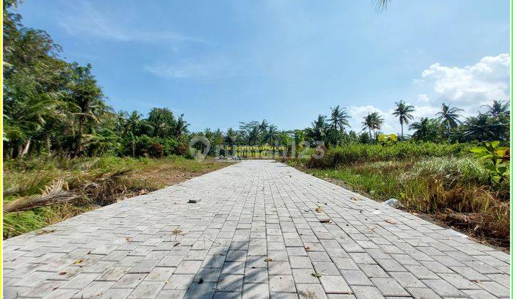 Tanah Kulonprogo dijual murah dekat UAD wates 2