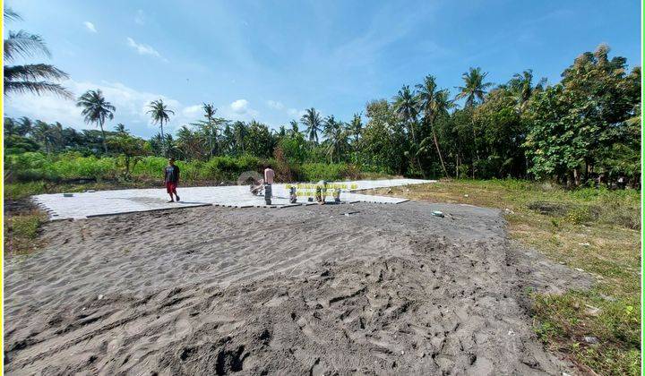 Tanah Kulonprogo Dekat Kampus Uad 6 Hanya 90 Jutaan 2