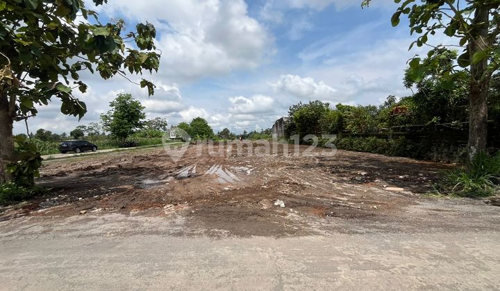 Tanah Murah jogja siap bangun villa dan kost Kaliurang Tanah Murah jogja siap bangun villa dan kost Kaliurang