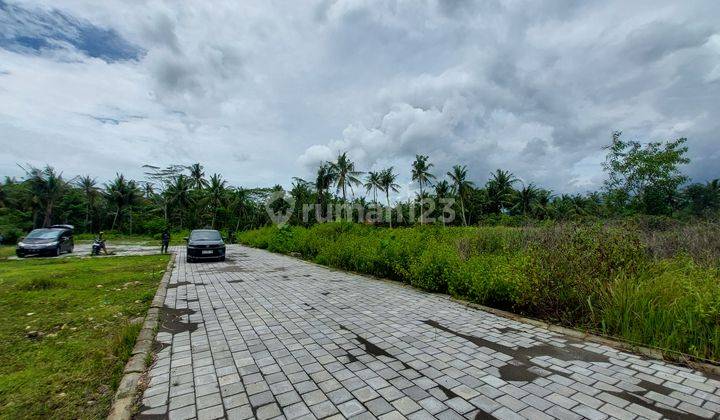 Tanah Murah Kulonprogo Dekat Bandara Yia , SHM P 130 Juta 2