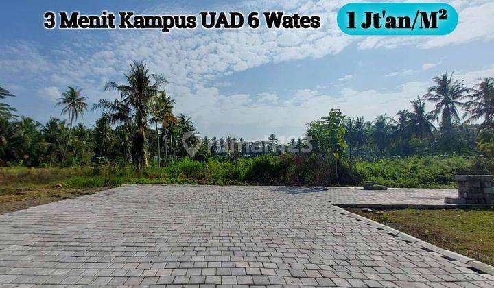 Tanah Kulonprogo dijual murah dekat UAD wates 1