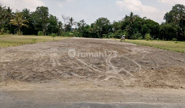 Tanah Murah Jogja Dekat Uii Kaliurang , SHM P Akses Papasan 1