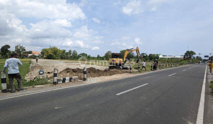 Tanah Murah Dijual Cepat di Barat Tugu Yogyakarta , SHM P Unit 2