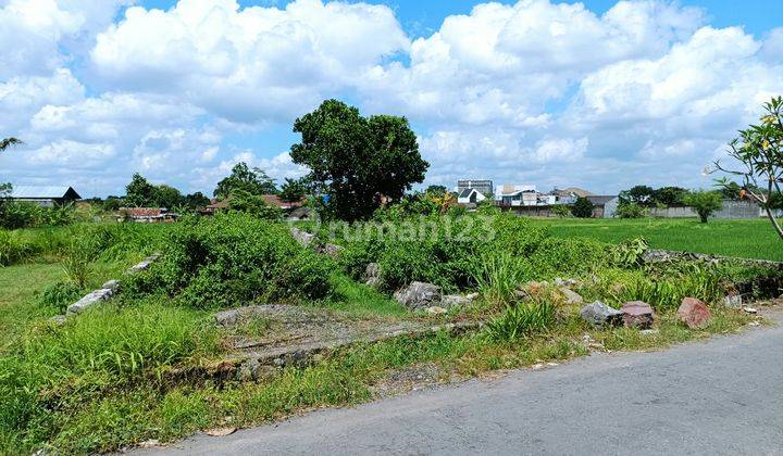 Tanah Jogja Dijual Dekat Ugm View Sawah Dan Merapi 2