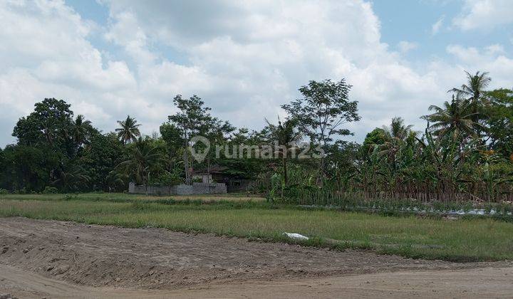 Tanah Murah di Kaliurang Sertifikat Pekarangan Dalam Cluster 1