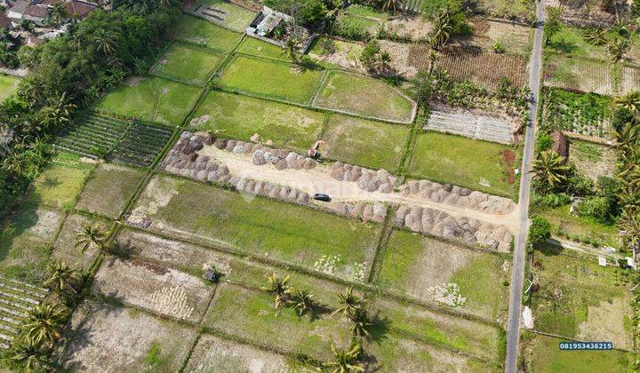 Tanah Jogja Dijual Cepat Dekat Uii Kaliurang Bisa Cash Tempo 2