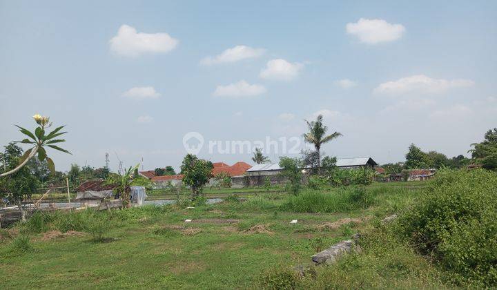 Tanah Dijual Murah Saja Dekat Jalan Damai Kaliurang  1