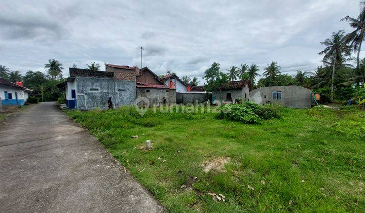 Tanah Kulonprogo Cocok Investasi Property Siap Bangun Rumah 2