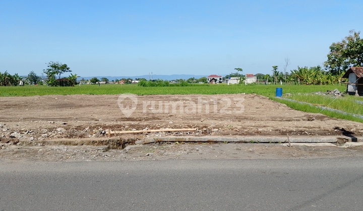 Cheap Land in Sleman Near Budi Mulia Tajem Maguwo School