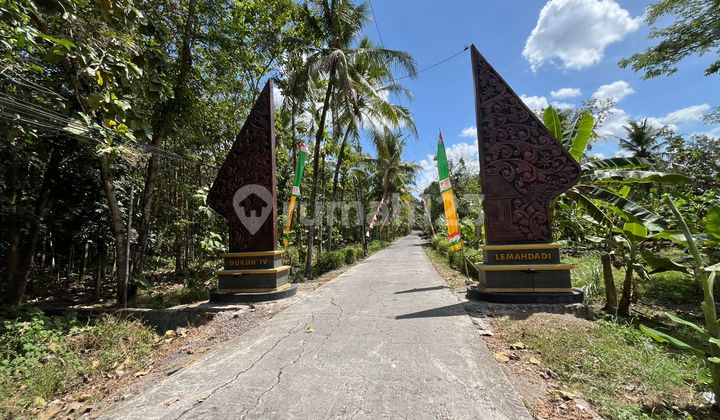 Cluster belakang UMY rumah 300 jtan di kasihan Bantul