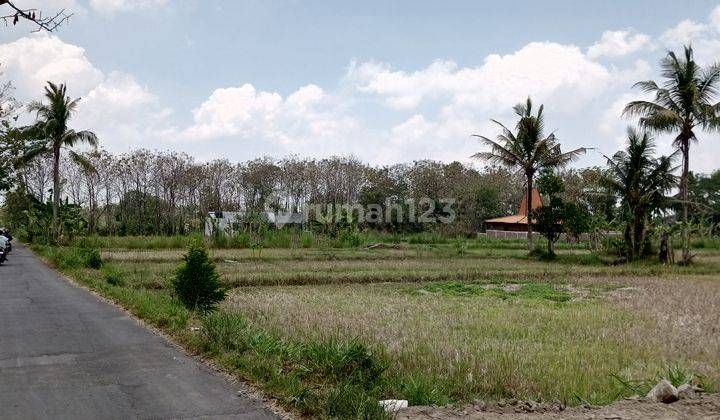 Tanah Murah Jogja Dekat Uii Kaliurang , SHM P Akses Papasan 2