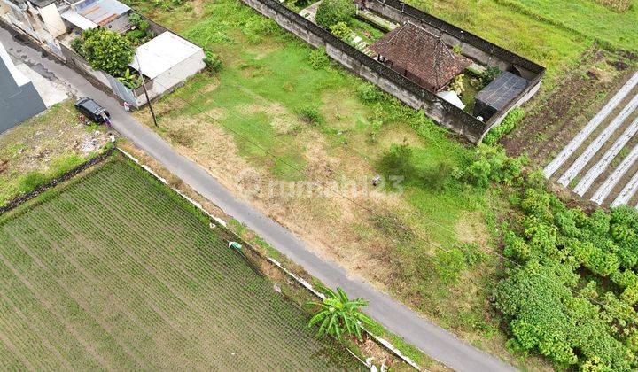 Tanah Jogja dekat Kampus UNISA harga 400 jutaan 1