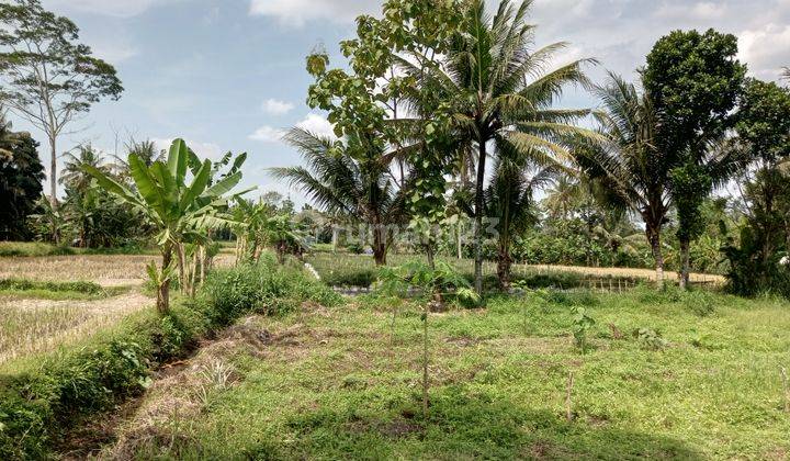 Tanah Jogja Akses Papasan View Sawah Dekat Uii Kaliurang 1