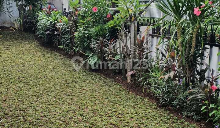 Dijual Rumah Asri Di Cipete Dijual Rumah Asri Di Cipete