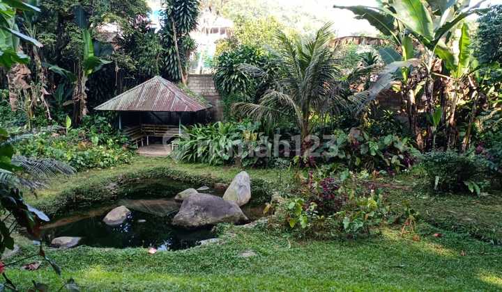 Half NJOP Price! Cheapest Villa House in Puncak Cisarua, 5400 m2 Area, Good Investment